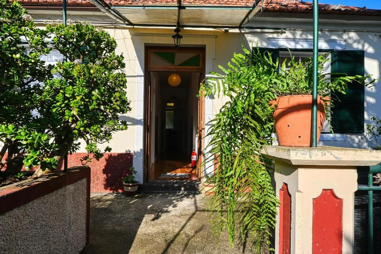 Casa Do Pinheiro, A Home In Madeira São Vicente 포르투갈