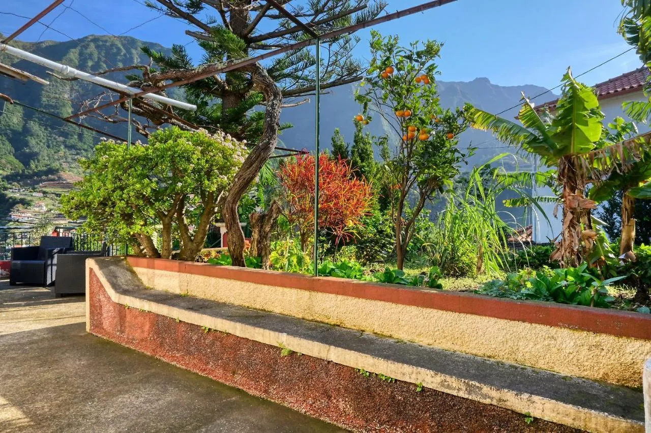 Casa Do Pinheiro, A Home In Madeira São Vicente Apartmán